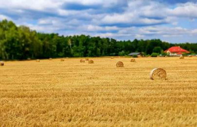 Sielski Dom - Foto 45