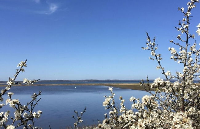 Reading Roof Cate Fuchsgraben - Foto 19