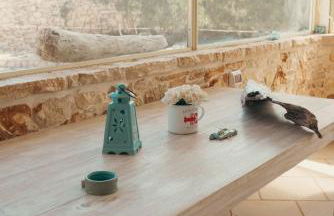 Il Trullo al Mare -Trullo by the sea- Pool & Beach - Foto 40