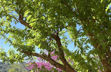 Chianti's Secret Nest - Cozy home with sunset view - Foto 43