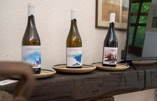 Villa Iolanda-Sive Natura Wine&House - Foto 26