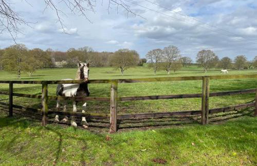 Jersey Cottage - Foto 13