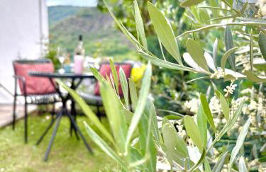 Gartenstudio Anila - Foto 59