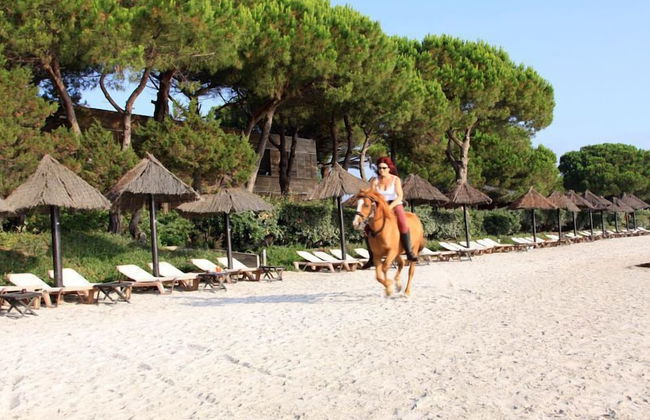 Résidence Cala Sultana - Foto 52