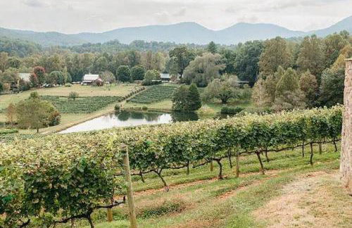 Peaceful Modern Chalet in Ellijay - Foto 34