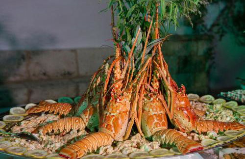 Michelle House - Foto 53