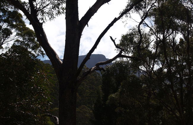 Craggy Peaks Wilderness Cabins - Foto 52