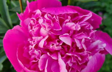 Happy Sparrow - Foto 59