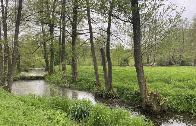 Aparthotel Parsberg Green Design Ferstl - Photo 54