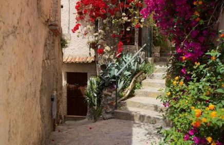 The Lemon Tree House - Photo 45