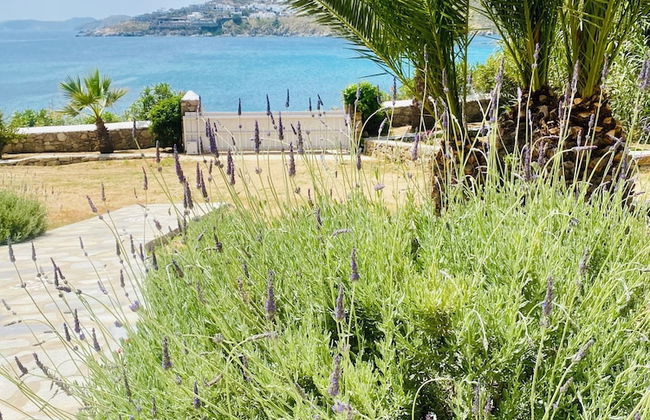 Only Yours Mykonos - Foto 21