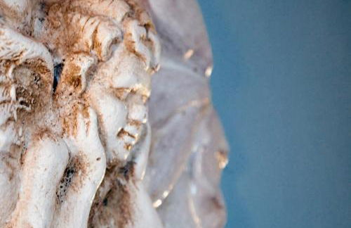 Country House Federico I - Foto 31