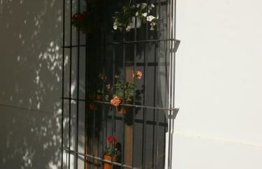 Casa en Plaza de la Merced_Centro Flamenco_Cádiz - Foto 31