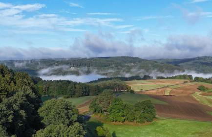 Wildblick Appartment Hof Grindelborn - Foto 29