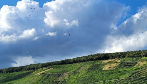 Willi's Moselschlösschen - Foto 4