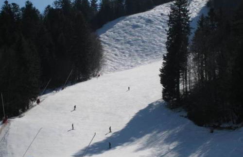 Chalet in Ventron near La Bresse Ski Area - Foto 15