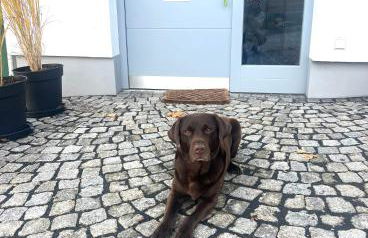 Joe's Home Naumburg -modern,vintage Apartment - Foto 29