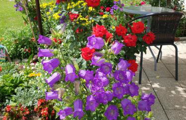 Apartments Žegarac House - Foto 26