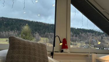 Domek na Kępce - Foto 2, Garden view