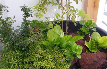 Sunrise - Casa Sao Joao - 4 Star Tourist Apartments - Photo 56