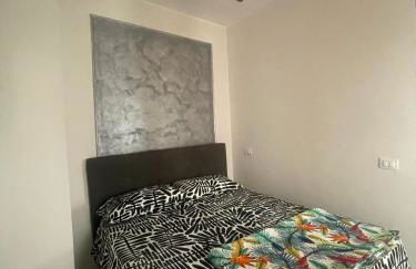 Minerva Home - Photo 6