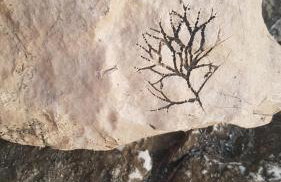 Old town hesed - Photo 73