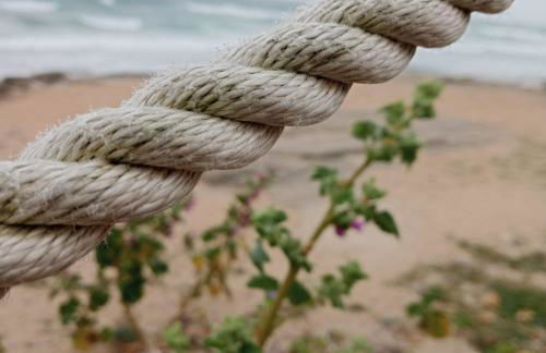 Antica Dimora - Foto 62