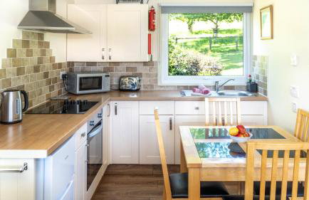 Ta Mill Cottages & Lodges - Meadowview Chalet 1 - Foto 3