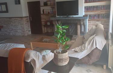 El Chalet del Pinar - Foto 15