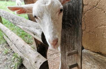 Mooi ruim appartement in antieke stadsboerderij - Foto 33