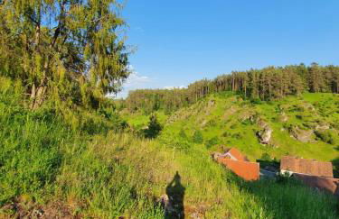 Haus Goldfuß - Foto 40