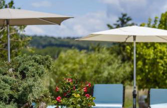 Le Petit Viala - Foto 4