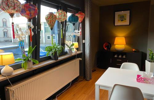 1 grosse elegante Zimmerwohnung 5 Minuten zu Fuss in die Stadtmitte - Foto 53