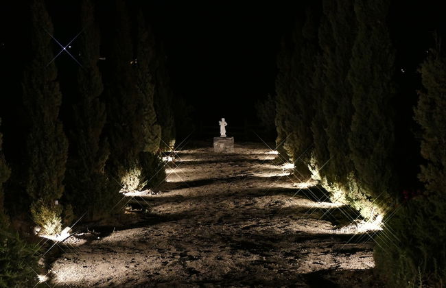 Christou Estate - Foto 43