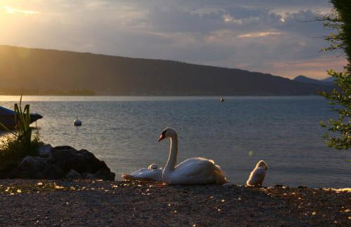 Mountain Suite - Foto 46