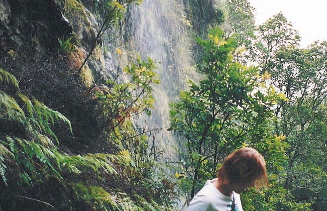 Skeleton Gorge Hiking Tour from Cape Town - Photo 4