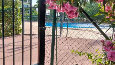El Madroño de la Encantada - Foto 2