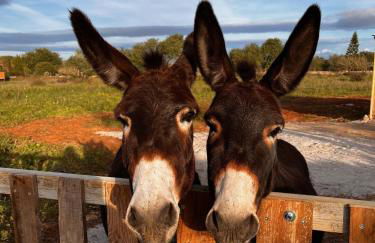 Blue Door Mallorca - Foto 49