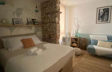 LE SAINT CYP - Toulouse - appart entier cosy et au calme, proche du métro - Foto 8