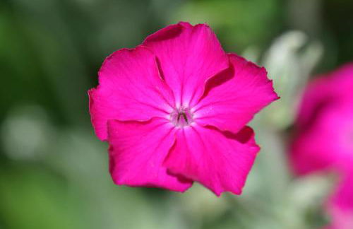 Landhaus Brigitte - Photo 50