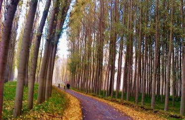 Cueva En El Geoparque de Granada - Foto 36