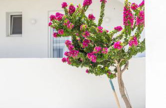 White Passion Villa - Foto 70