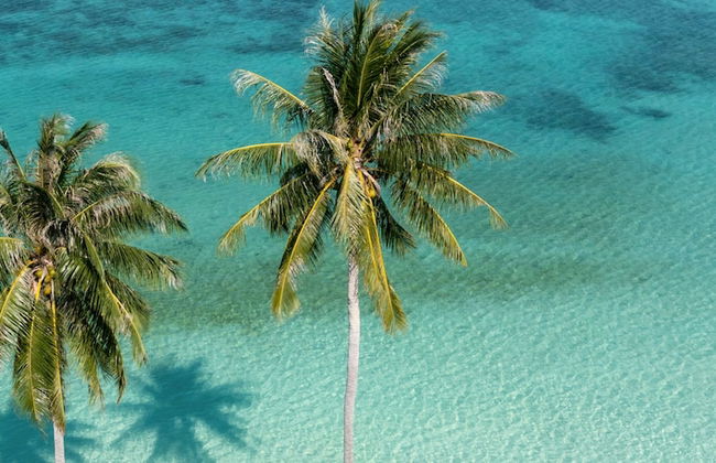 Governors Village Seven Mile Beach Corridor - Photo 38