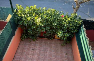 Golf playa y sol Chalet adosado con preciosa piscina Golf sun and beach House with swimming pool - Photo 25