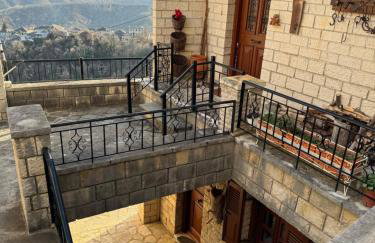 Βίτσα Πετρόκτιστο Αρχοντικό "Ιόλη" με θέα Ζαγόρι - Foto 24