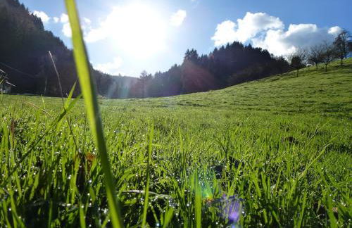 Baumanns Landhaus Durbach - Foto 57