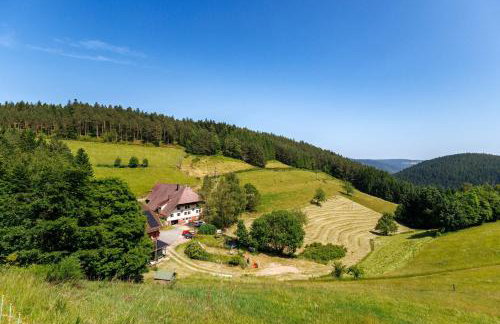 Hinterhauensteinhof - Photo 22