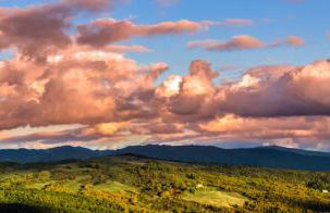 Agriturismo Terra di Michelangelo - Foto 114