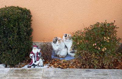 Ferienhaus Sylvia beim Waldrand - Foto 22