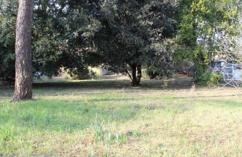 Maison calme à 300m de la plage avec véranda et grand jardin - FR-1-246A-367 - Foto 20